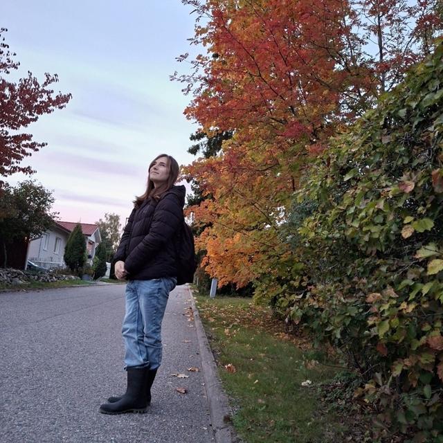 Au pair Aleksas in France